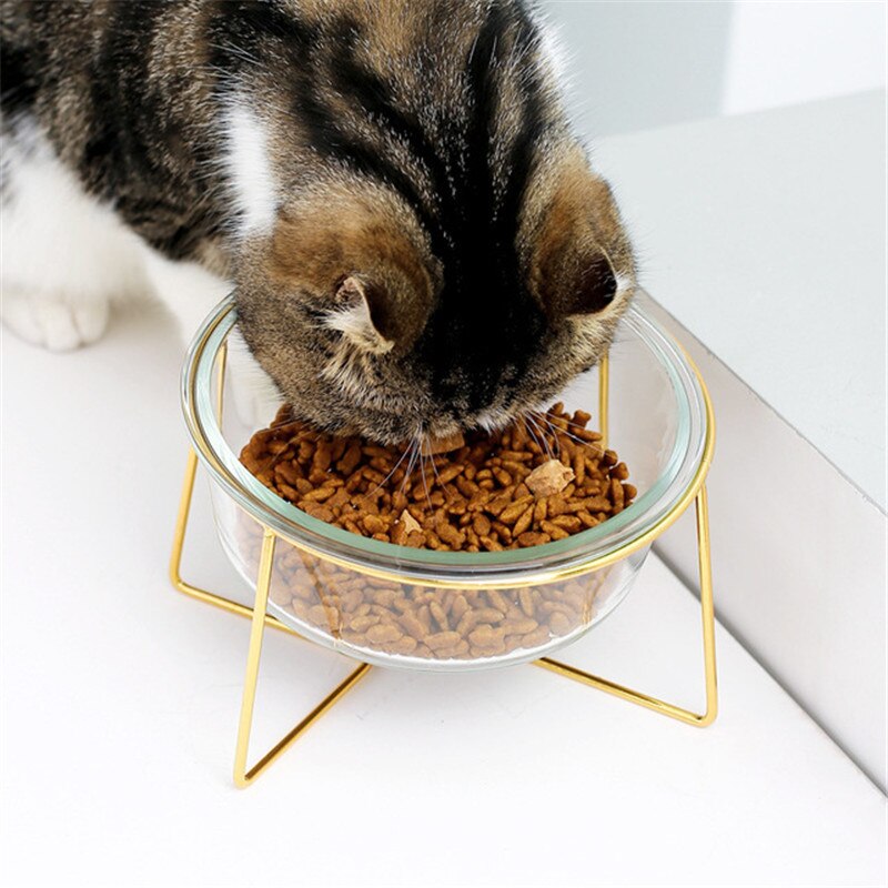 Non-slip Cat Bowls feeder/water. with Stand 500ML