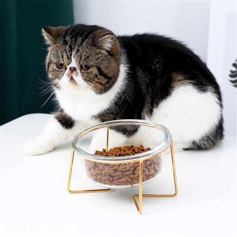 Non-slip Cat Bowls feeder/water. with Stand 500ML