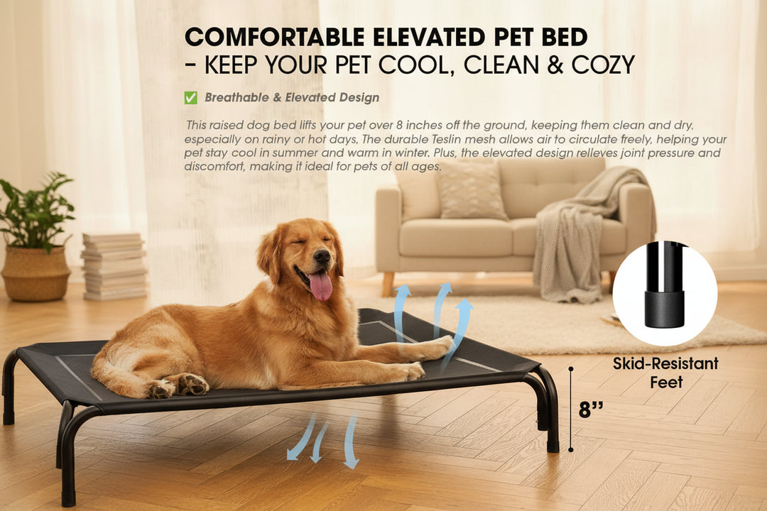 Elevated Dog Bed for Large Dogs - Cooling Raised Pet Cot with Breathable Mesh