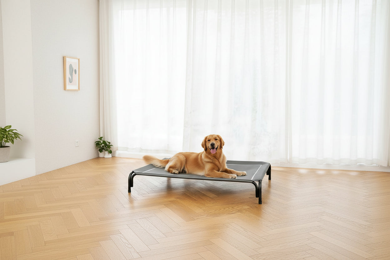 Dog lying on a elevated pet bed with a 'Summer Sale' label in the corner.
