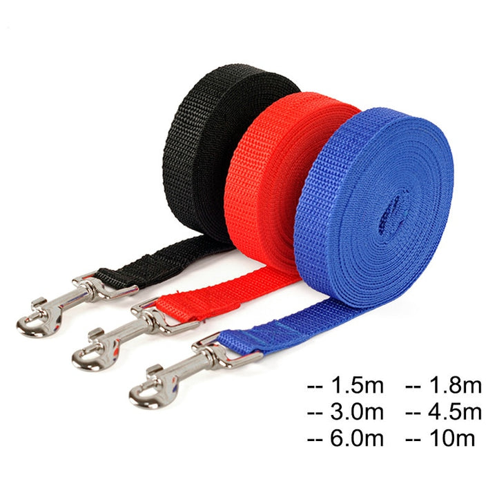 Really Long nylon dog leash. Great For Park Activities