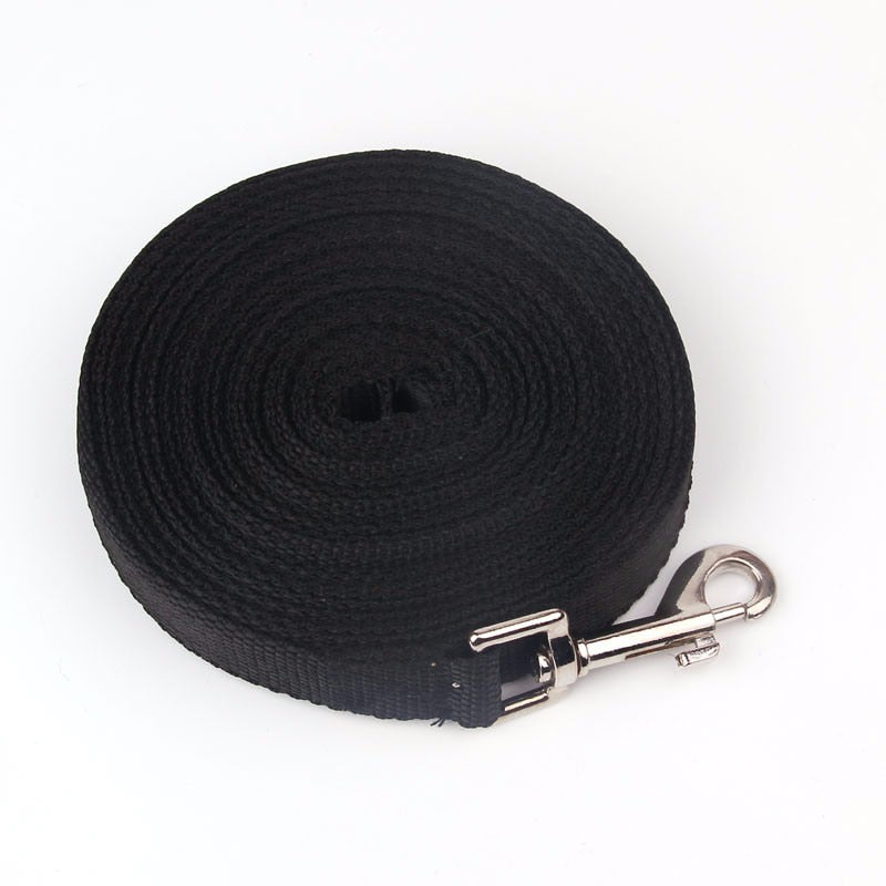 Really Long nylon dog leash. Great For Park Activities