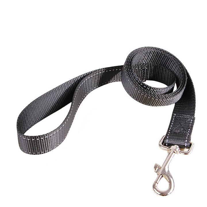 lead, dog lead, leash, leashes, retractable leash