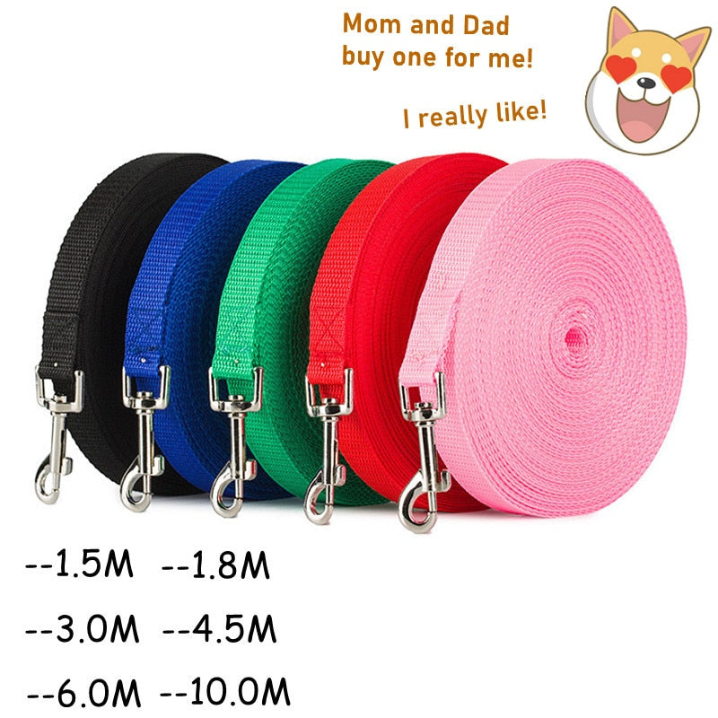 Really Long nylon dog leash. Great For Park Activities