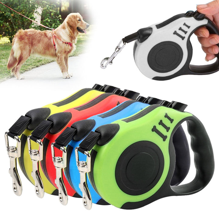 lead, dog lead, leash, leashes, retractable leash