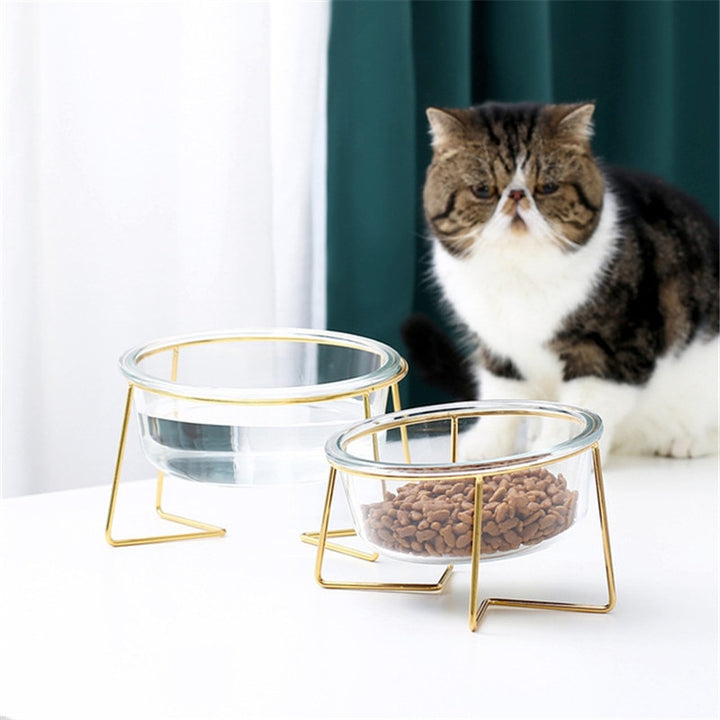 Non-slip Cat Bowls feeder/water. with Stand 500ML