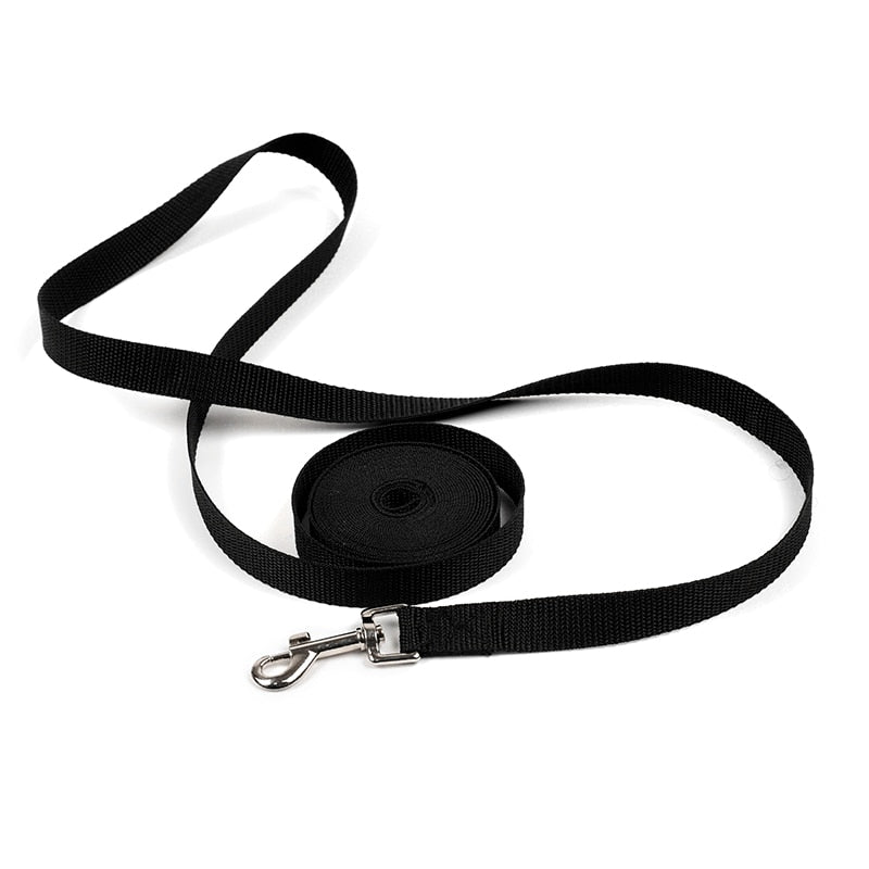 Really Long nylon dog leash. Great For Park Activities