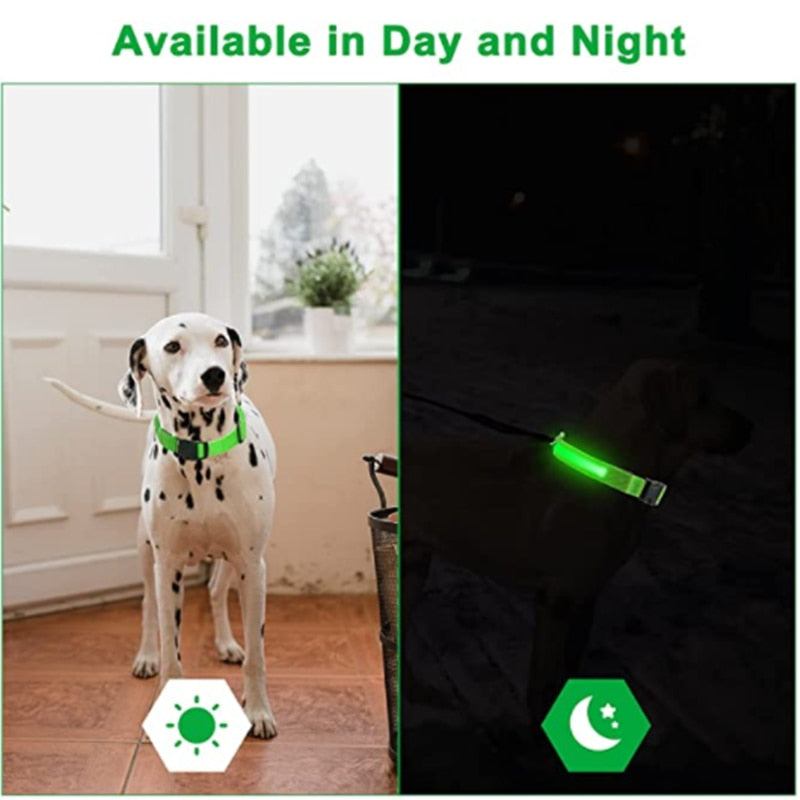 LED - Glowing/Light Up heavy-duty Pet Collor - Rechargeable or Pin Push Battery