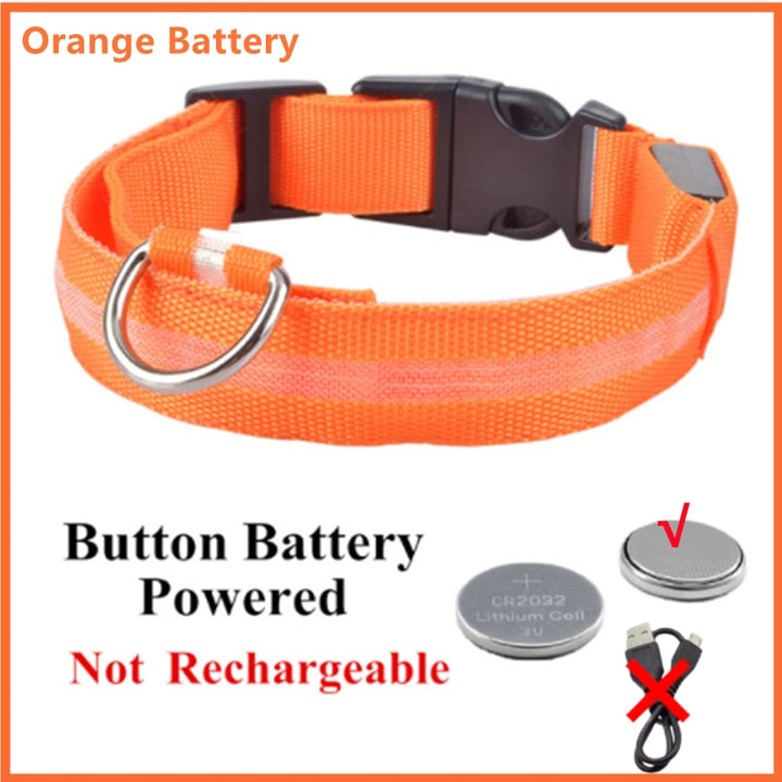 LED - Glowing/Light Up heavy-duty Pet Collor - Rechargeable or Pin Push Battery