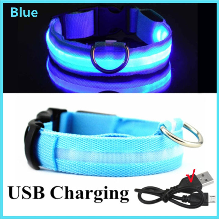 LED - Glowing/Light Up heavy-duty Pet Collor - Rechargeable or Pin Push Battery