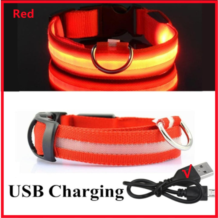 LED - Glowing/Light Up heavy-duty Pet Collor - Rechargeable or Pin Push Battery