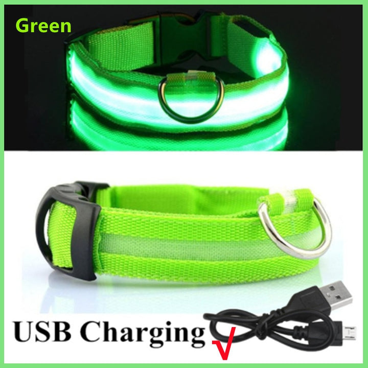 LED - Glowing/Light Up heavy-duty Pet Collor - Rechargeable or Pin Push Battery