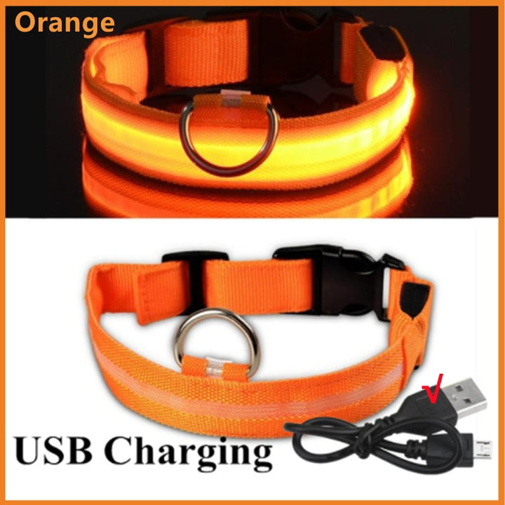 LED - Glowing/Light Up heavy-duty Pet Collor - Rechargeable or Pin Push Battery