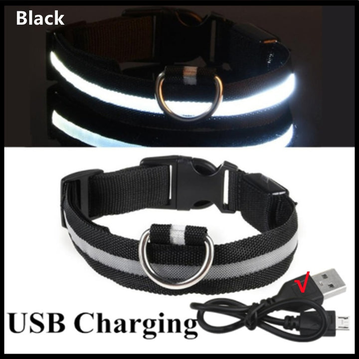 LED - Glowing/Light Up heavy-duty Pet Collor - Rechargeable or Pin Push Battery