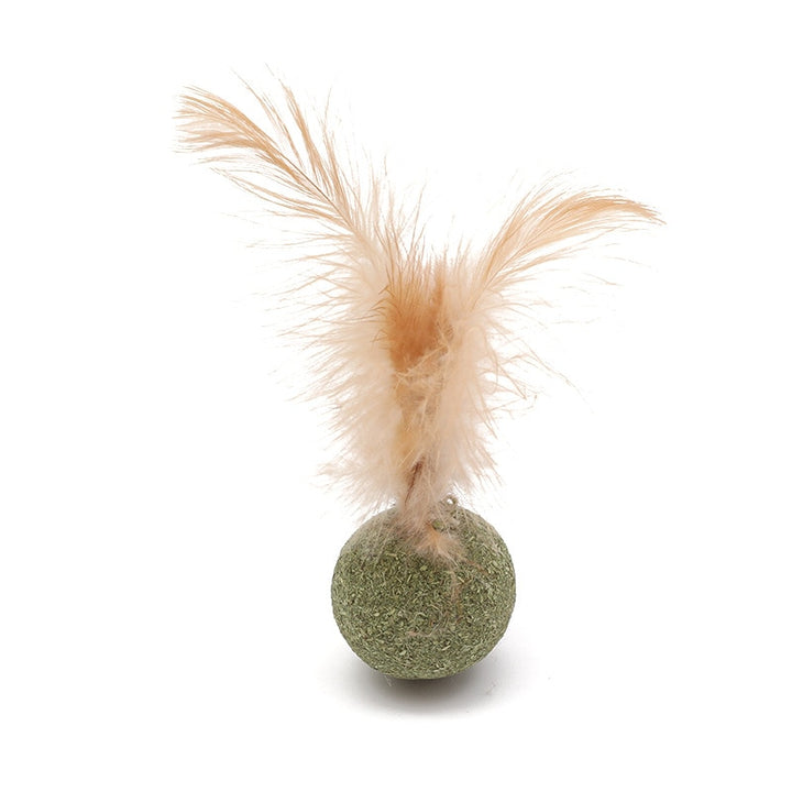 Edible Catnip Ball + Catnip toy