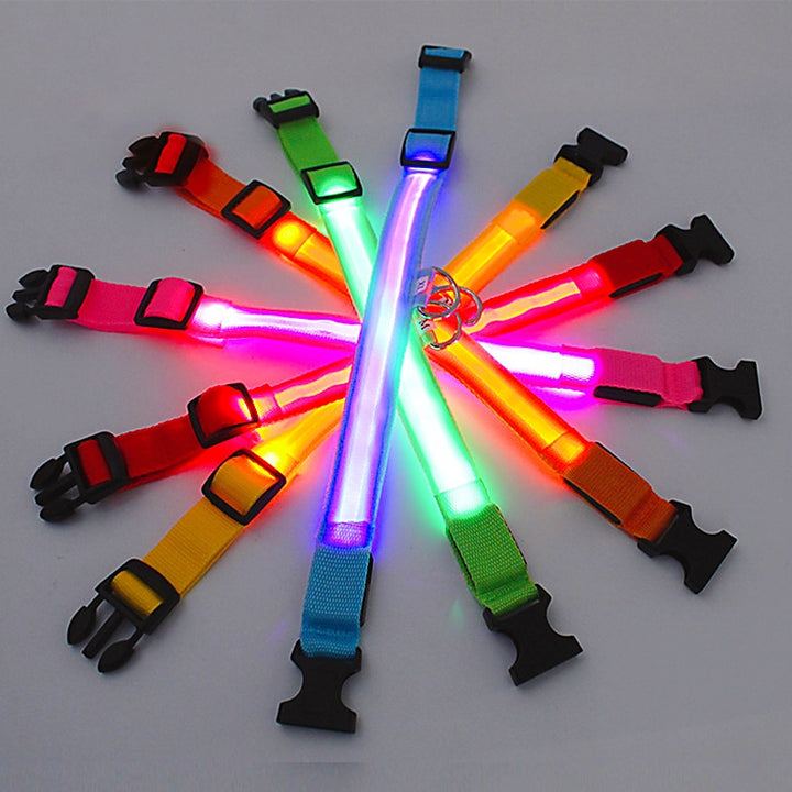 LED - Glowing/Light Up heavy-duty Pet Collor - Rechargeable or Pin Push Battery