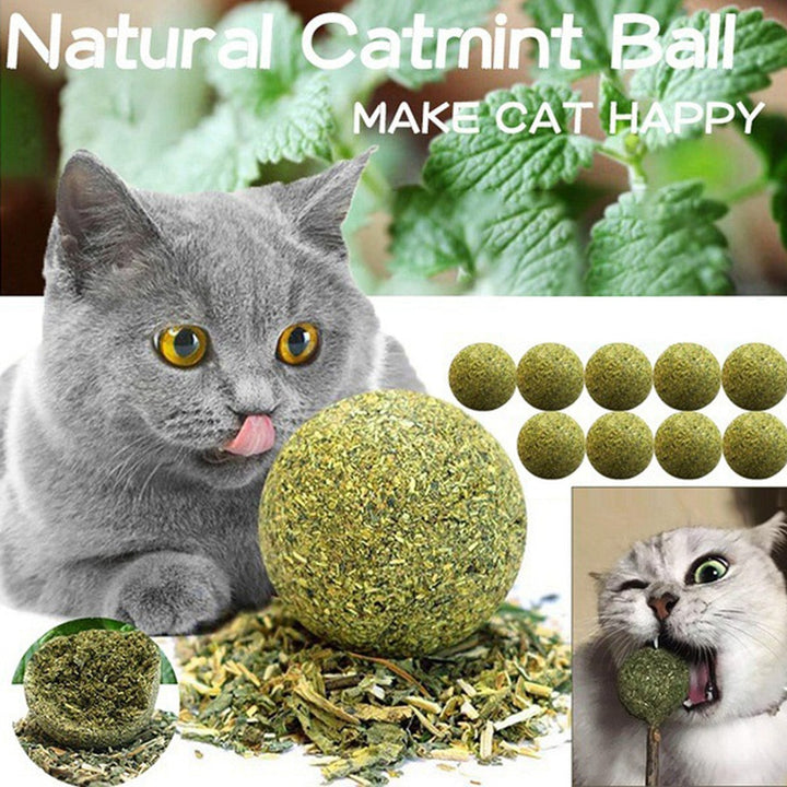 Edible Catnip Ball + Catnip toy