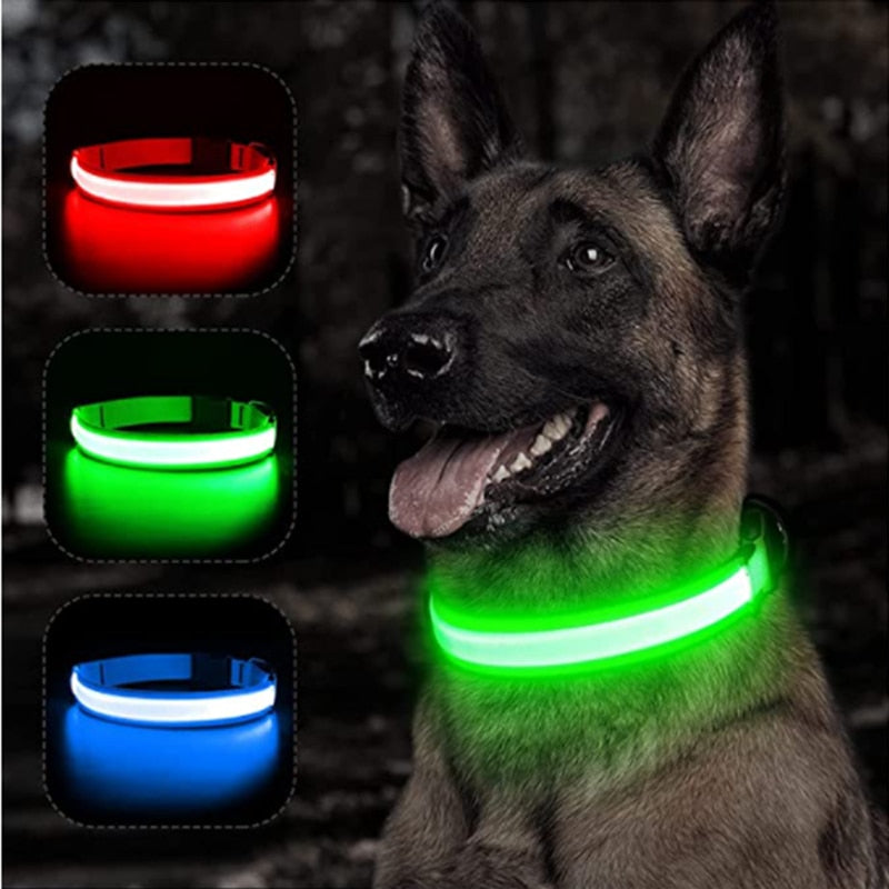 LED - Glowing/Light Up heavy-duty Pet Collor - Rechargeable or Pin Push Battery