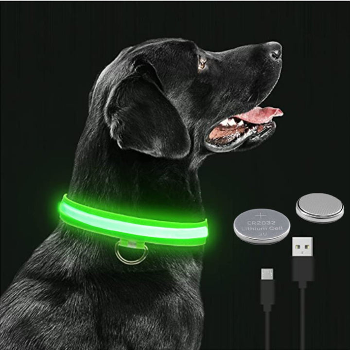 LED - Glowing/Light Up heavy-duty Pet Collor - Rechargeable or Pin Push Battery