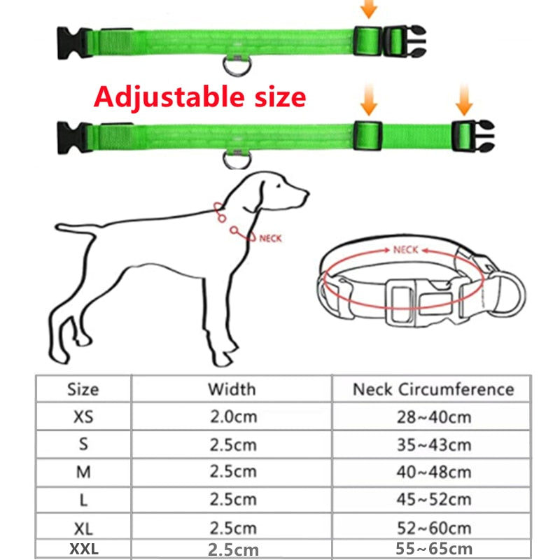 LED - Glowing/Light Up heavy-duty Pet Collor - Rechargeable or Pin Push Battery