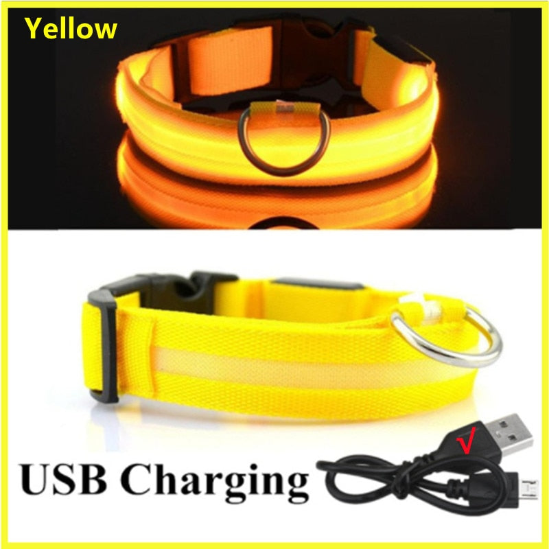 LED - Glowing/Light Up heavy-duty Pet Collor - Rechargeable or Pin Push Battery