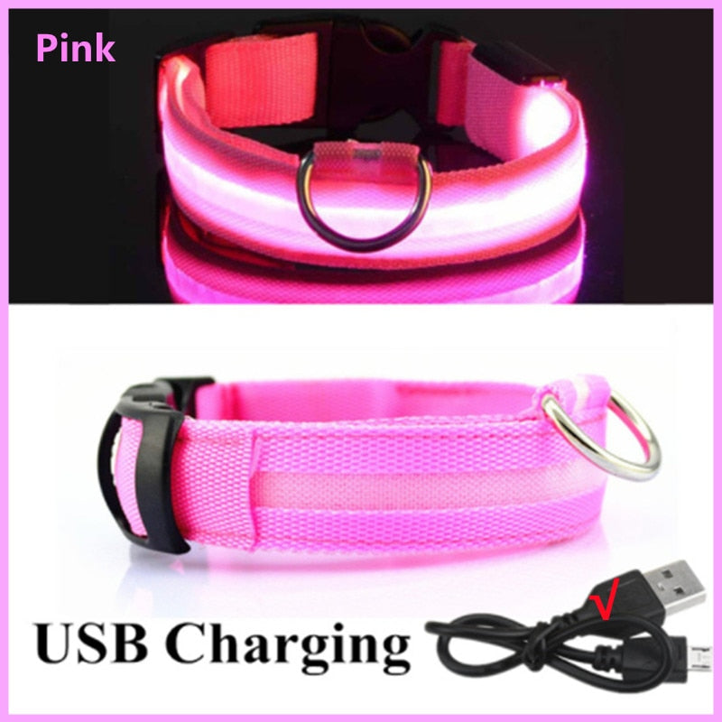 LED - Glowing/Light Up heavy-duty Pet Collor - Rechargeable or Pin Push Battery