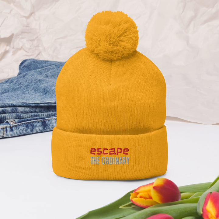 Escape The Ordinary Pom-Pom Beanie