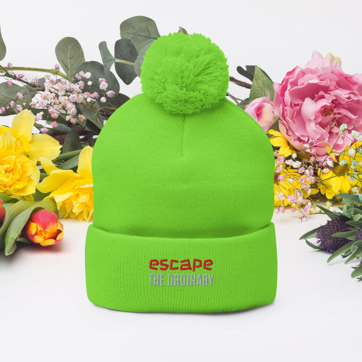 Escape The Ordinary Pom-Pom Beanie